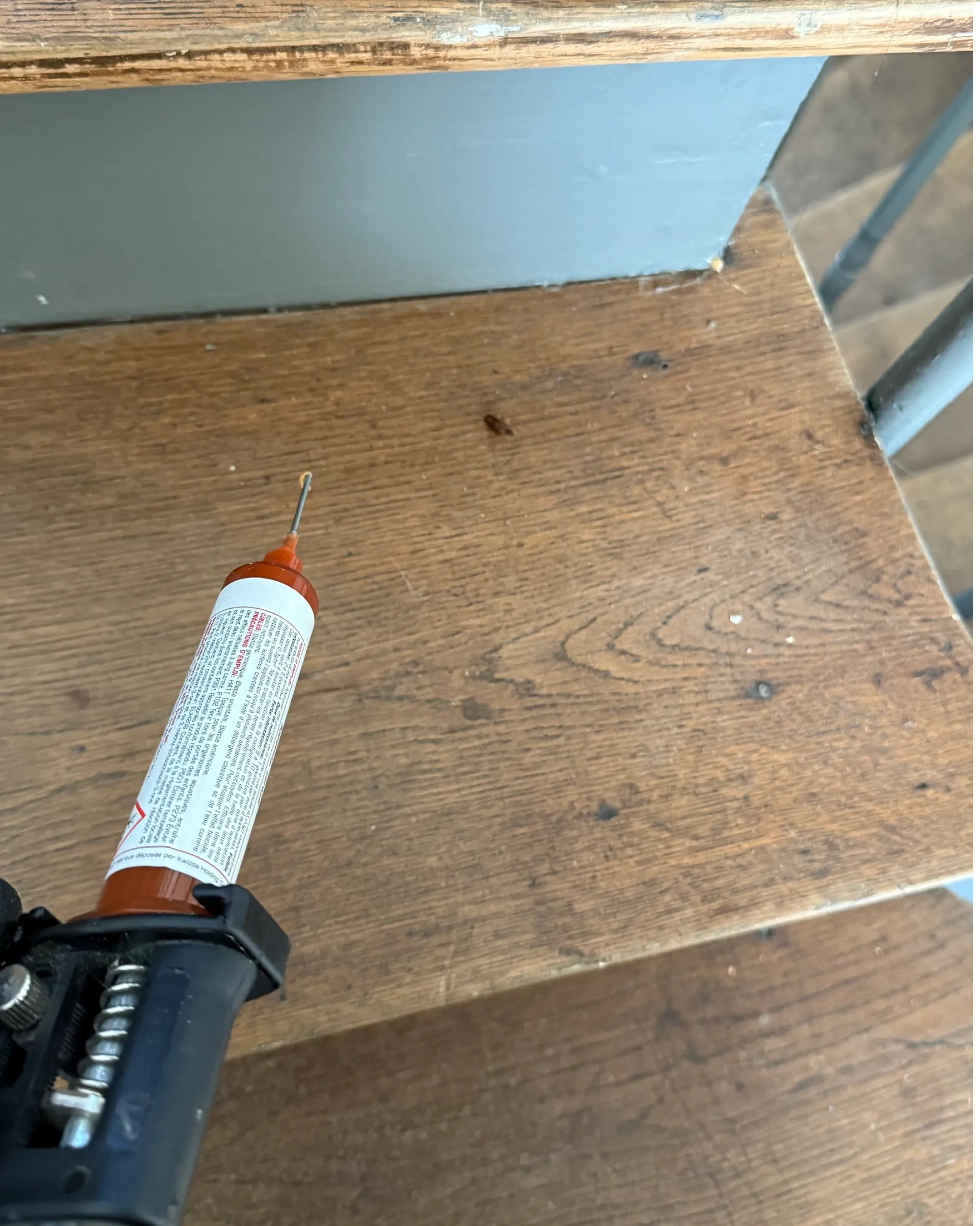 Désinsectisation 1